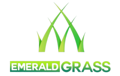 cropped-475964848_988926216676568_4915021738395656957_n-removebg-preview